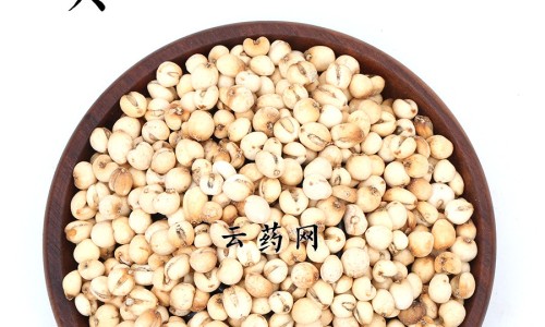 生大蒜和熟大蒜的功效网 :分享生大蒜和熟大蒜的功效一样吗-生大蒜与熟大蒜功效一样吗知识